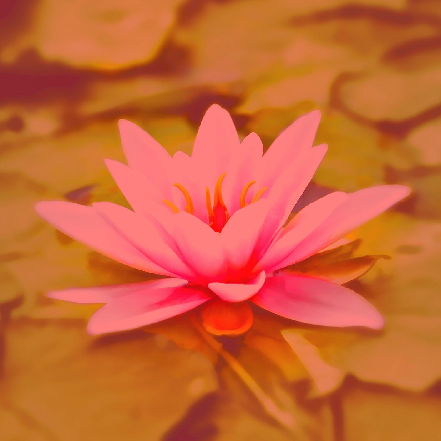 Dazzling Relaxing Spa Music - Spacious Ambiance for Wellness