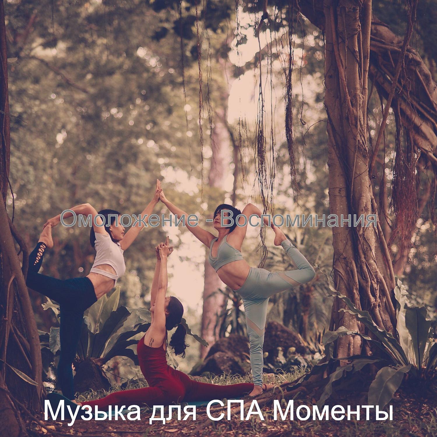 Постер альбома Омоложение - Воспоминания