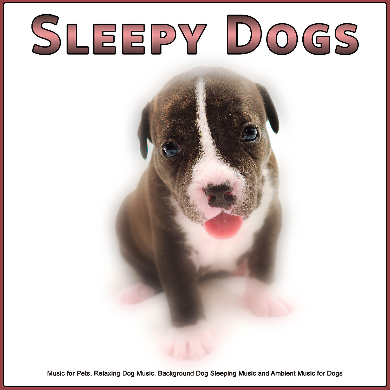 Sleepy Dogs - Pet Care