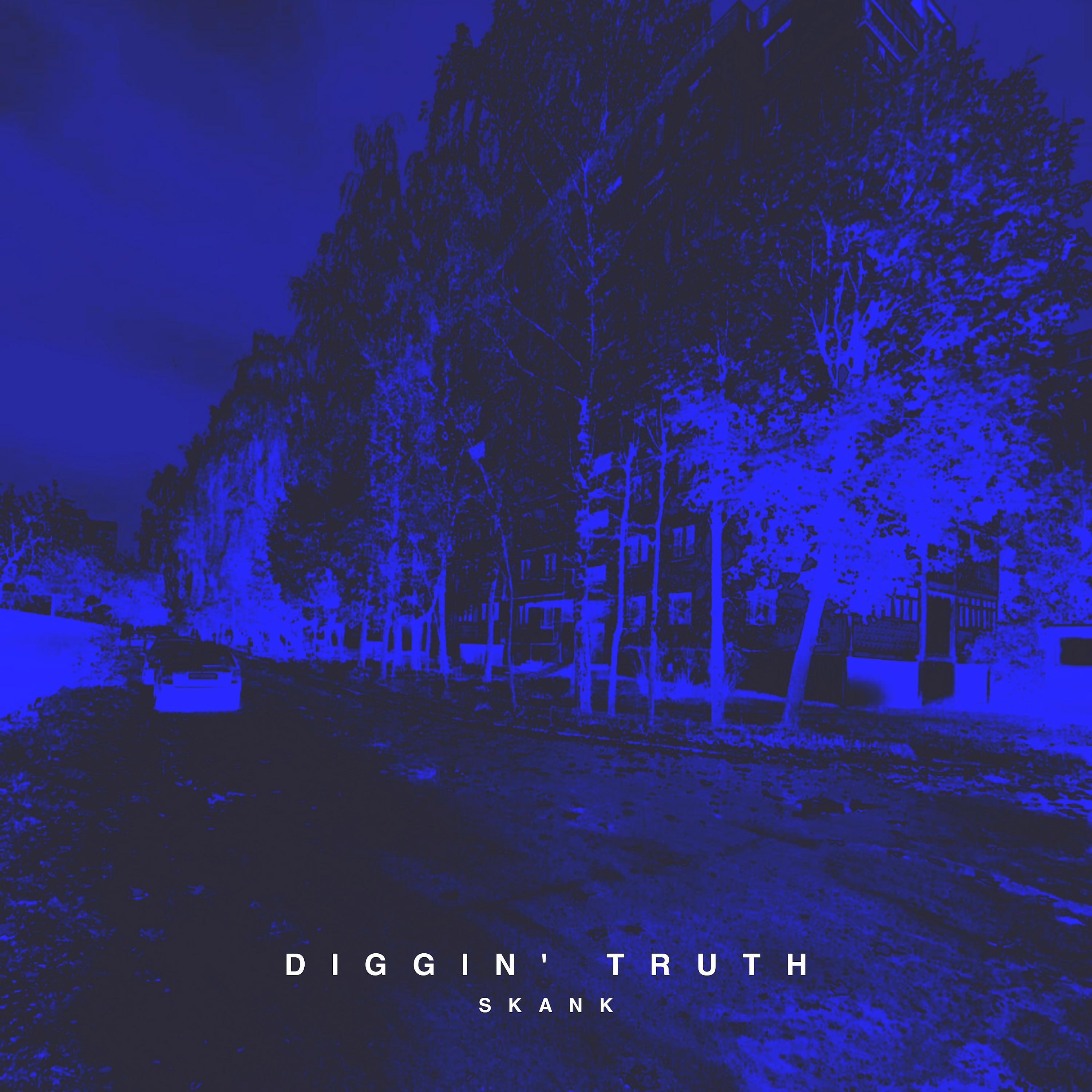 Постер альбома Diggin' Truth