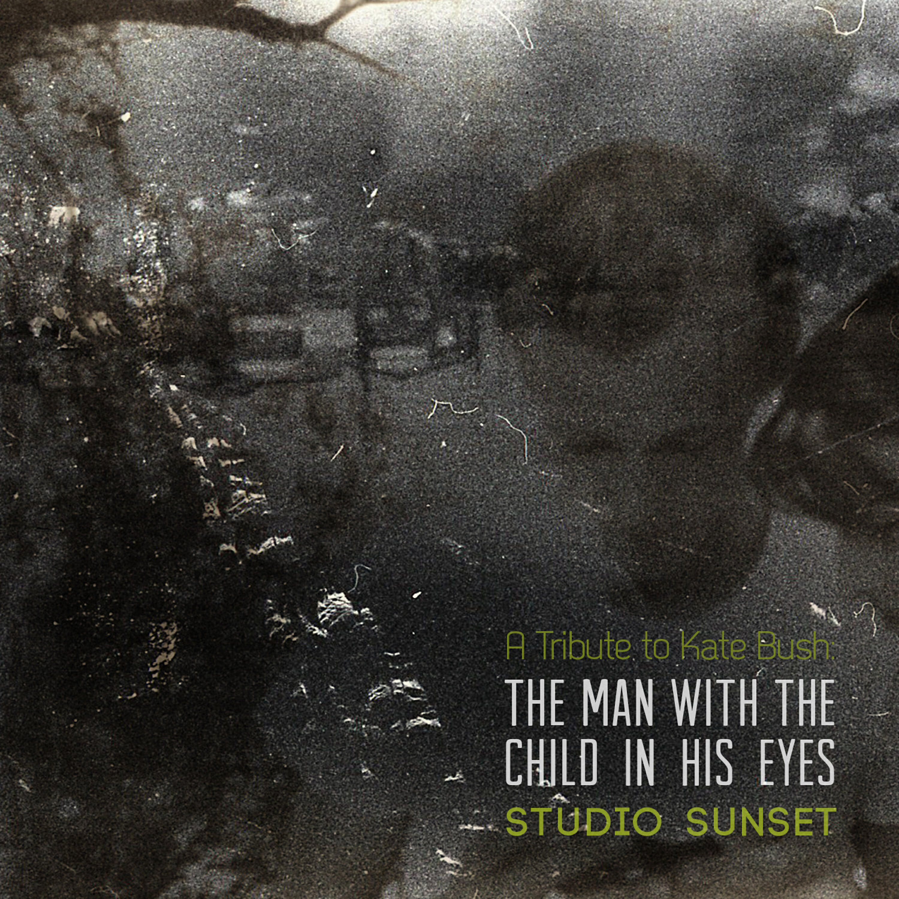 Studio Sunset - Wuthering Heights 