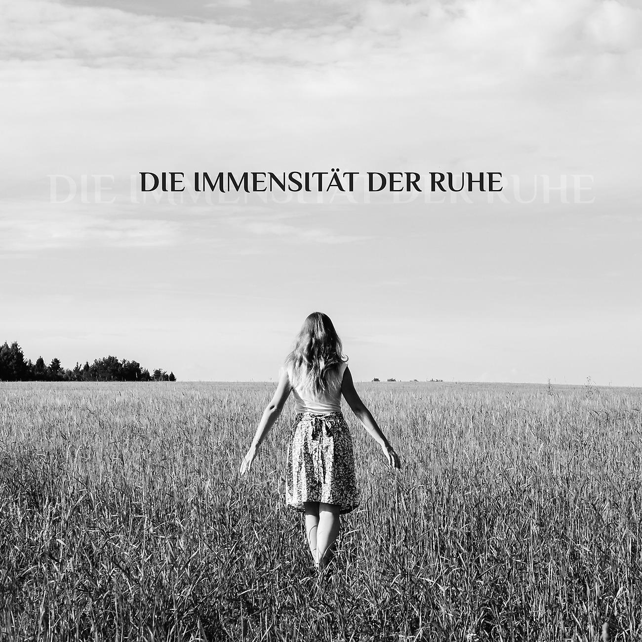 Постер альбома Die Immensität der Ruhe - Lange und Friedvolle Meditation für Tiefere Konzentration und Konzentration