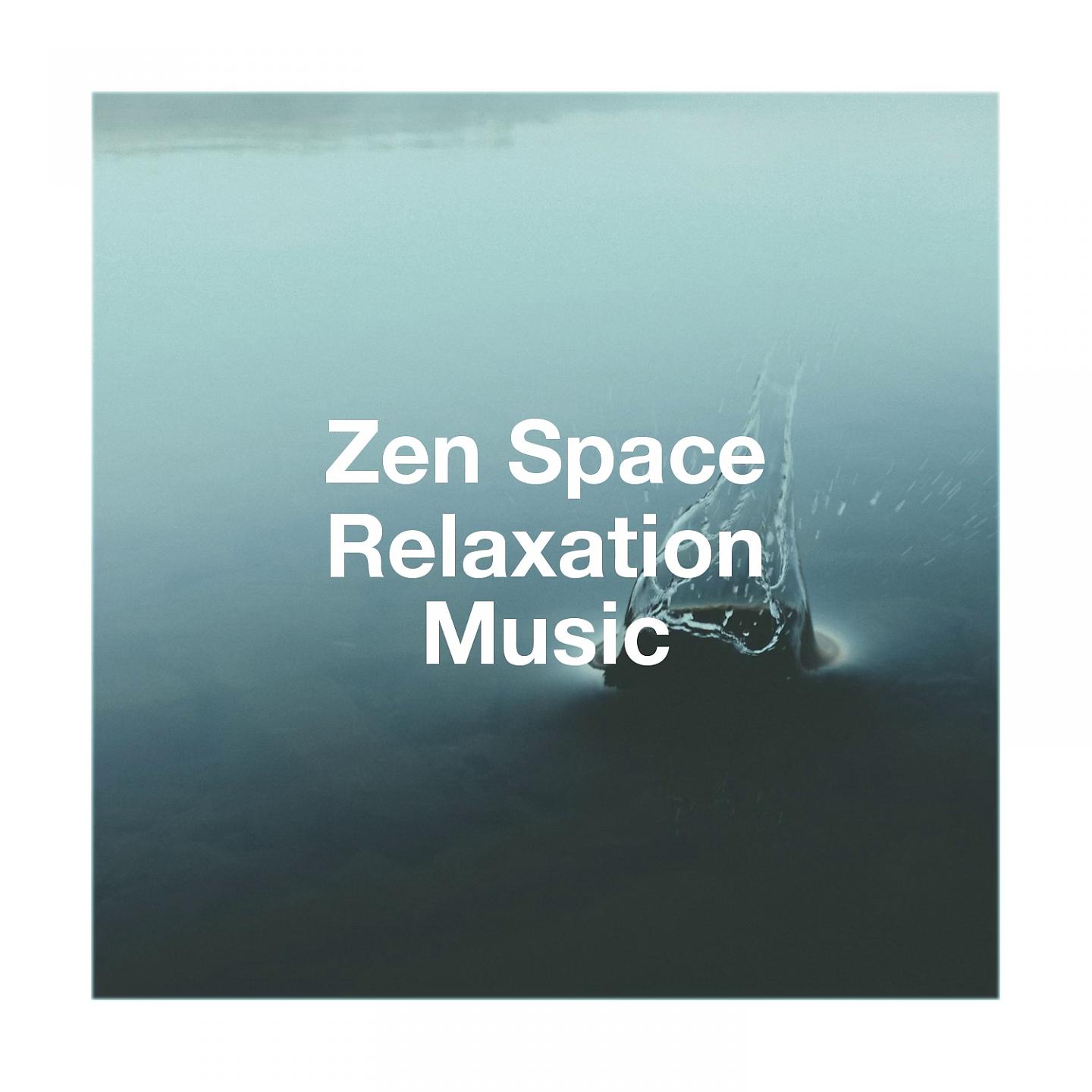 Постер альбома Zen Space Relaxation Music