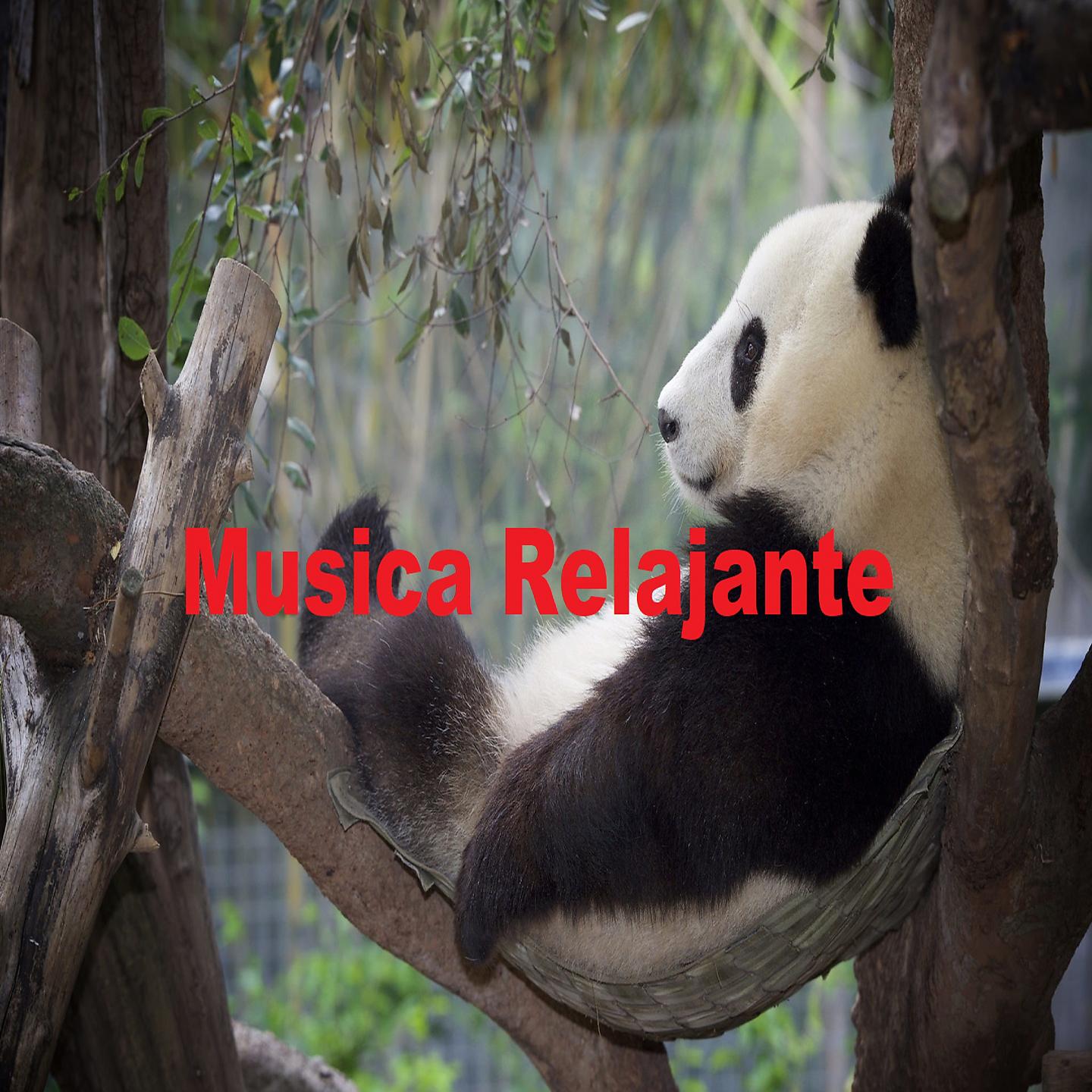 Постер альбома Musica Relajante
