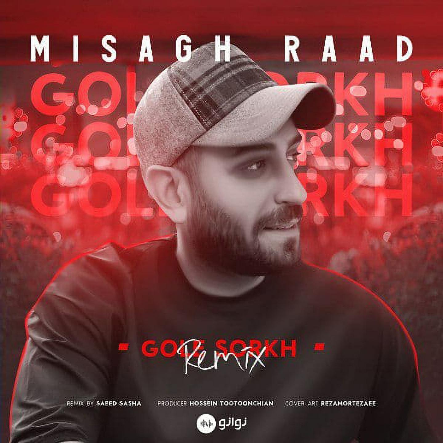 Постер альбома Gole Sorkh (Remix)
