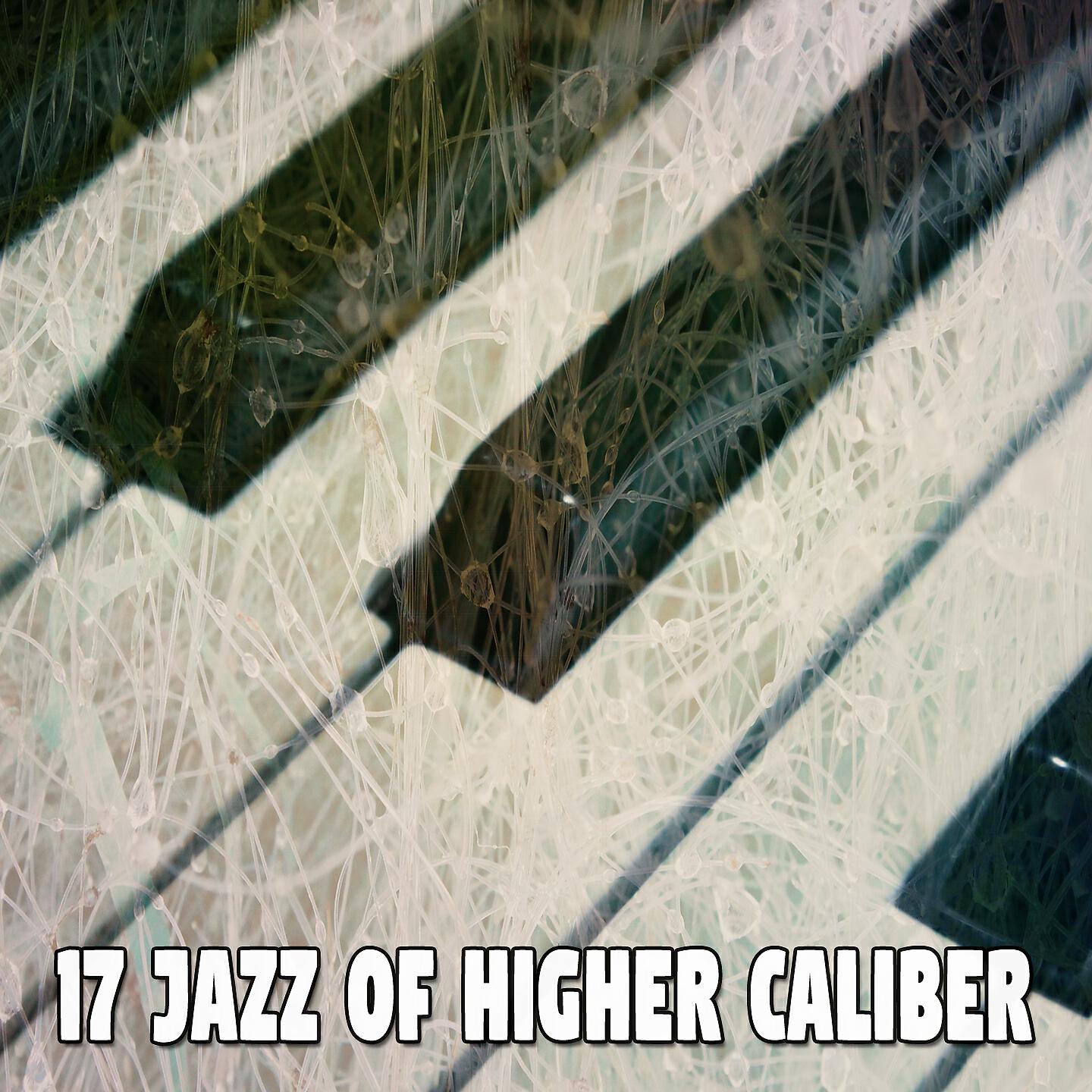 Chillout Lounge - Crazy Sidewinder