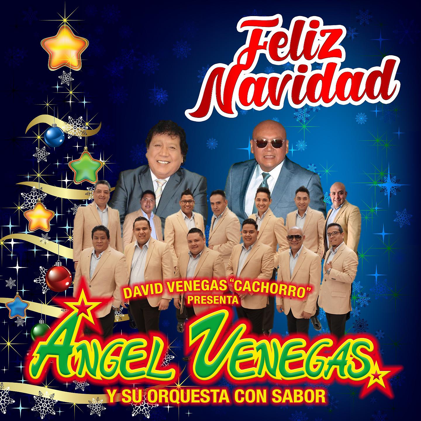Постер альбома Feliz Navidad