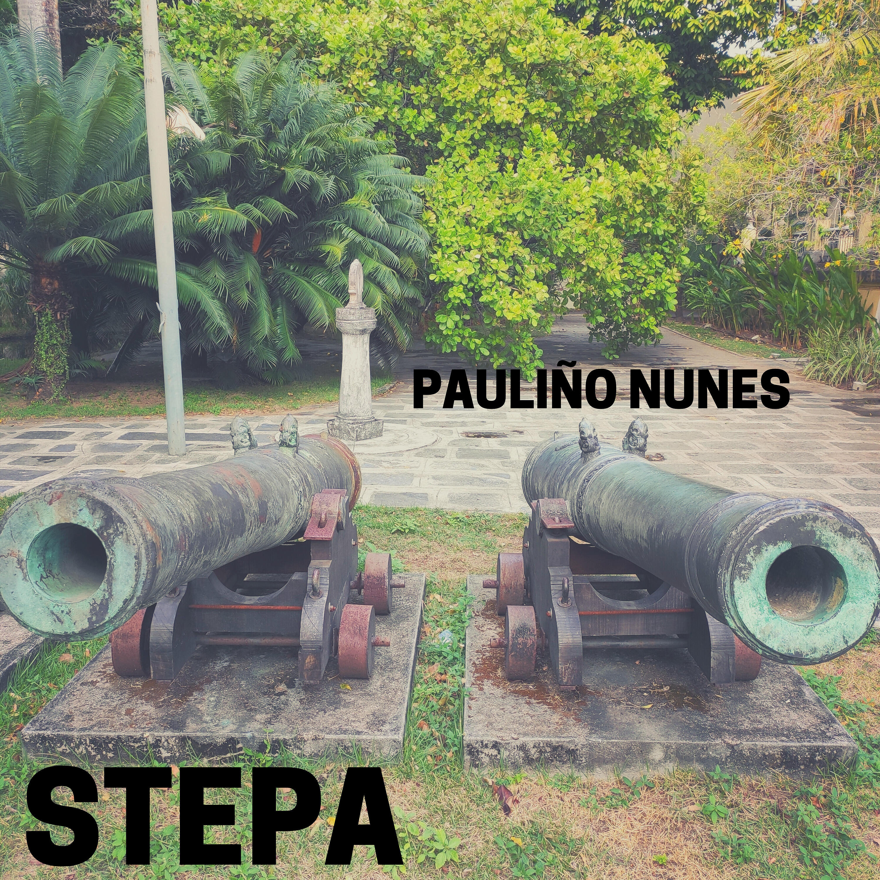 Pauliño Nunes - Stepa
