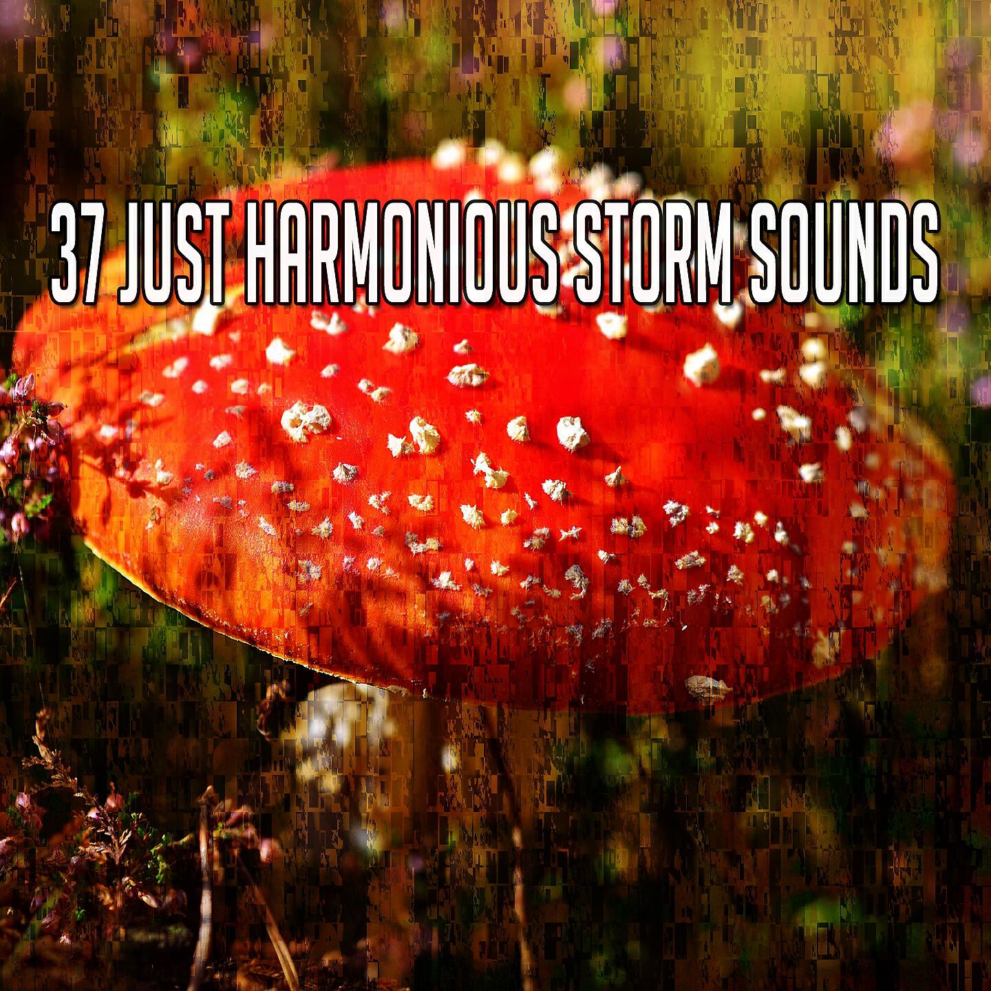Rain Sounds Nature Collection - Thors Awakening