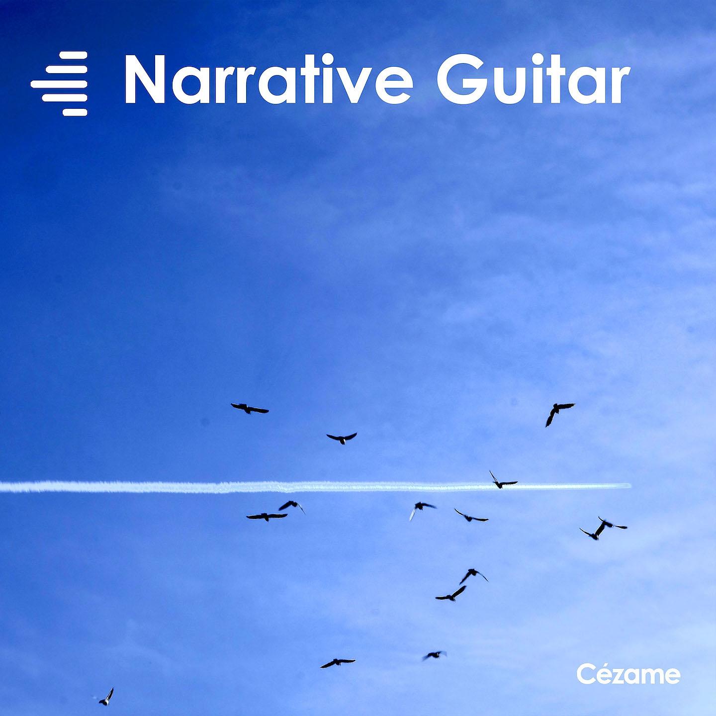 Постер альбома Narrative Guitar