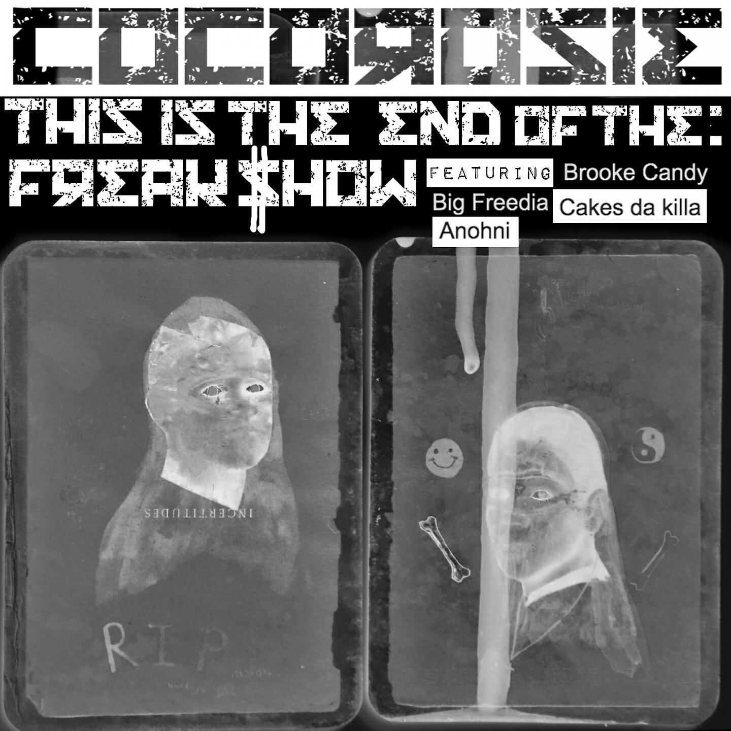 CocoRosie - End of the Freak Show