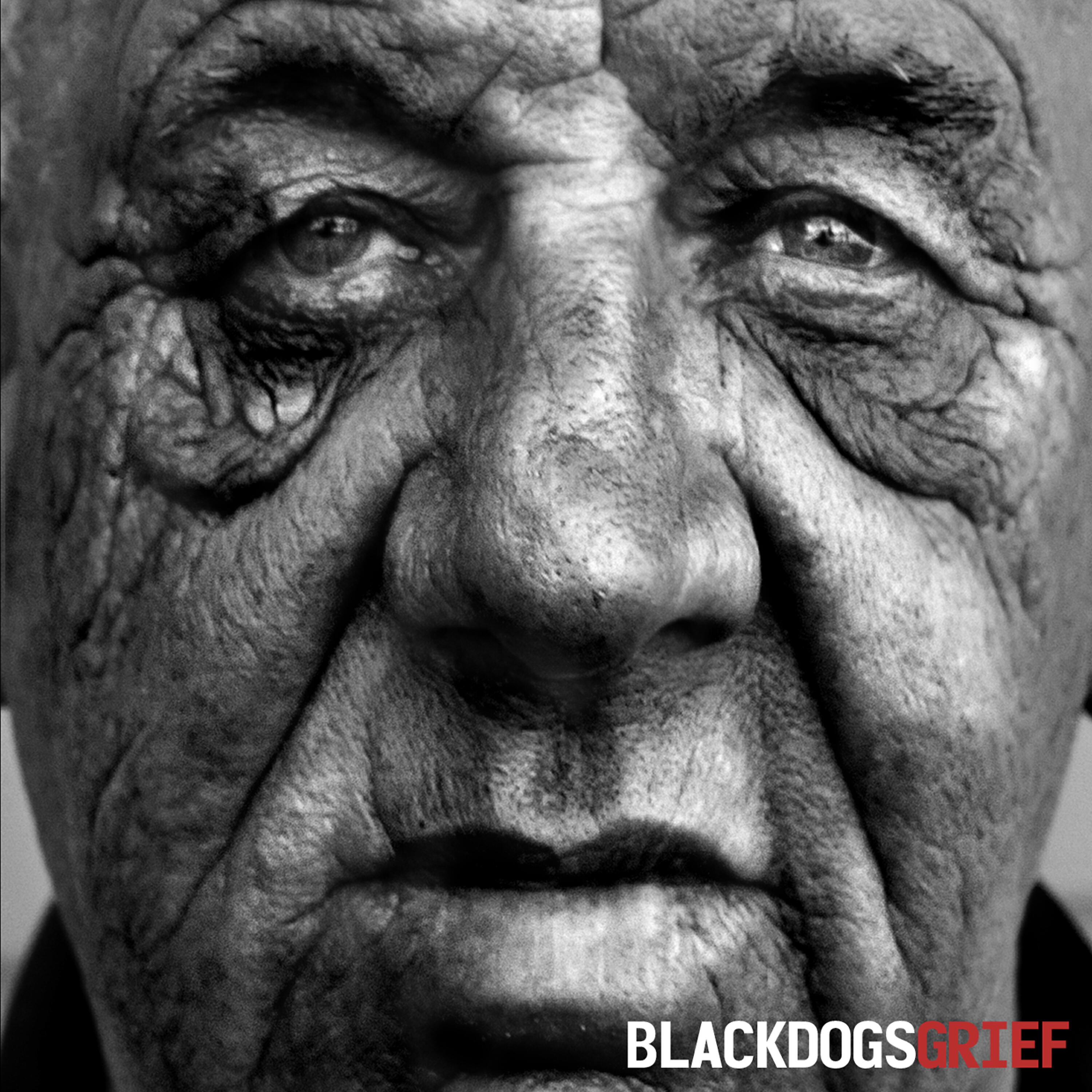 Black Dogs - 13 Bastards
