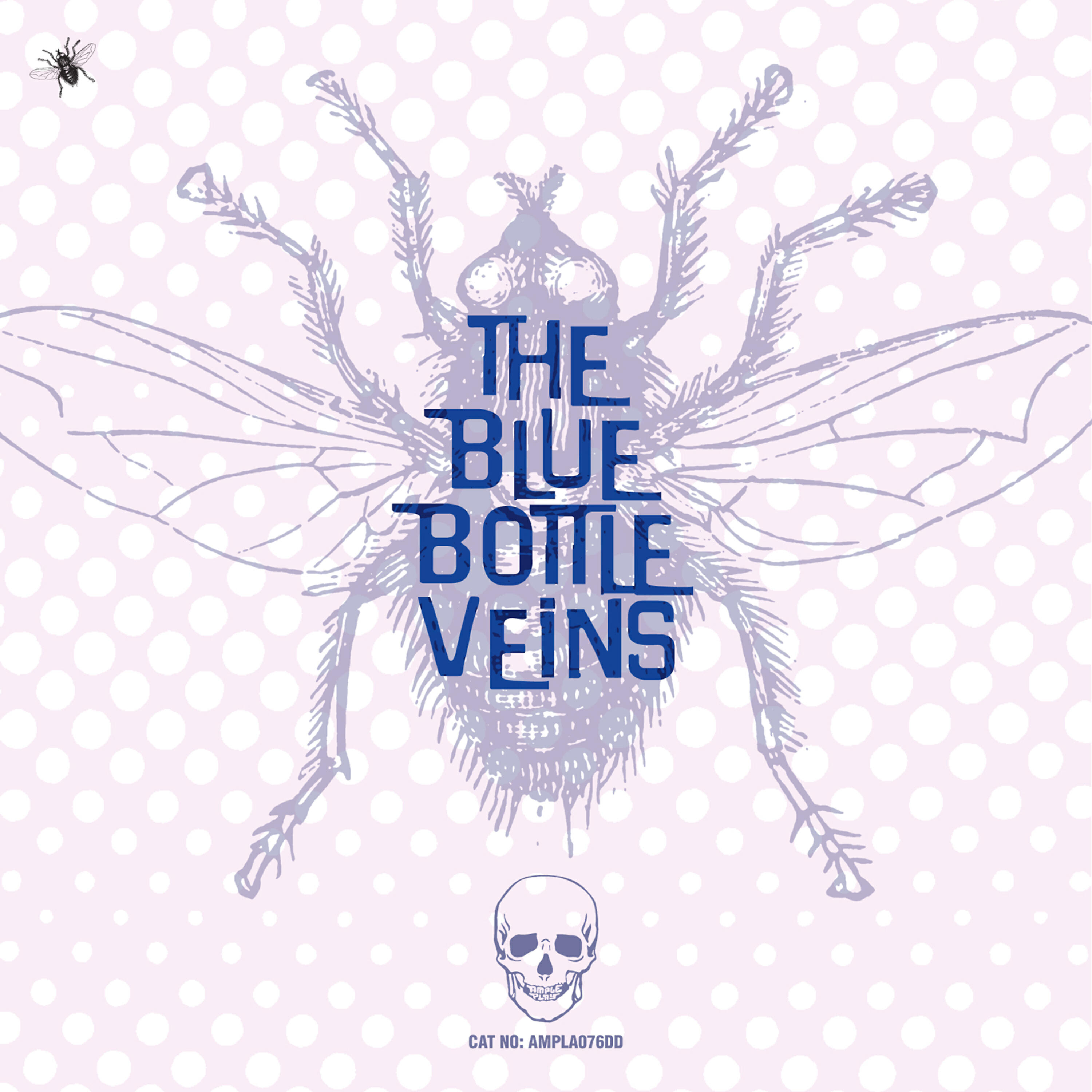 The Bluebottle Veins - If You Only Knew (Bonus)