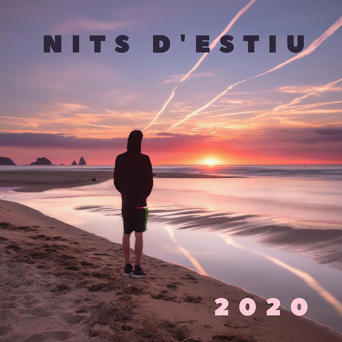 Постер альбома Nits D'Estiu