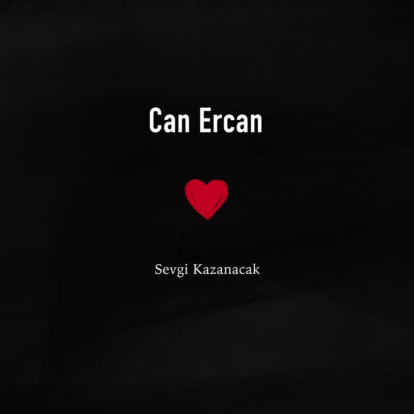 Постер альбома Sevgi Kazanacak