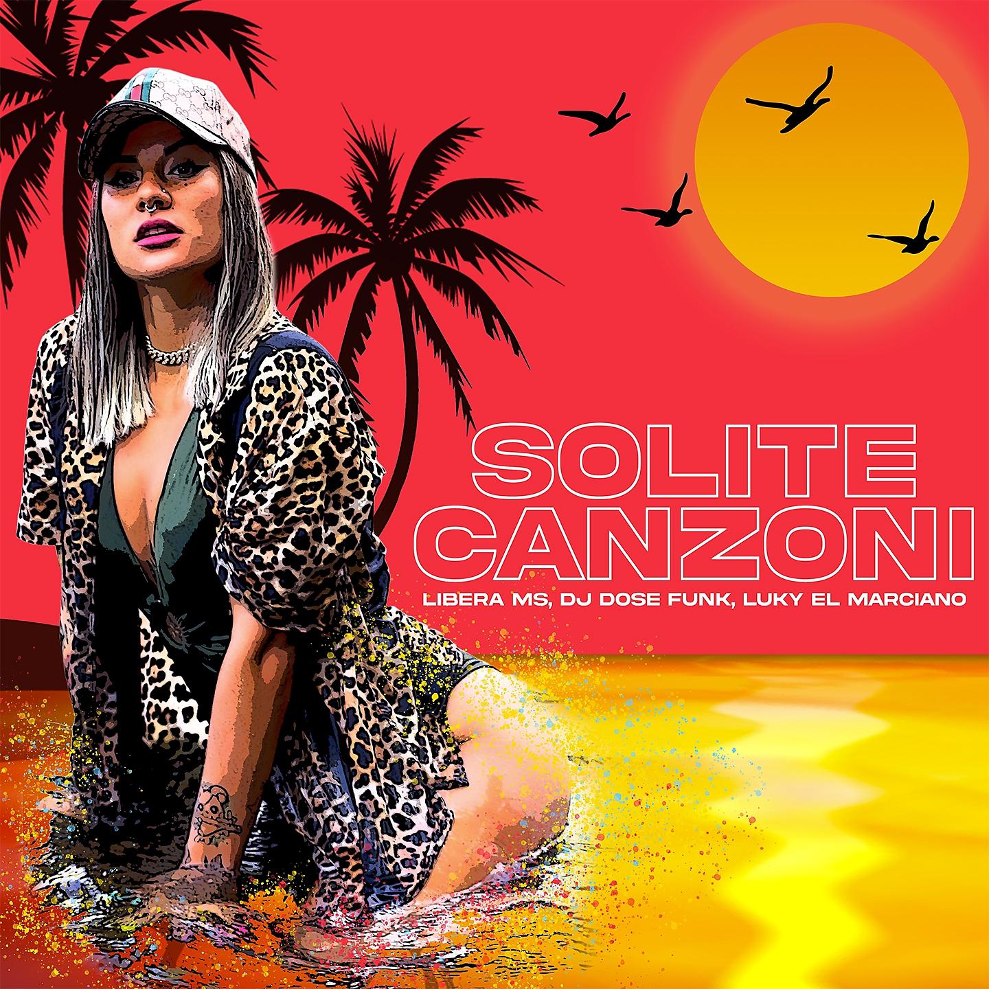 Постер альбома Solite canzoni