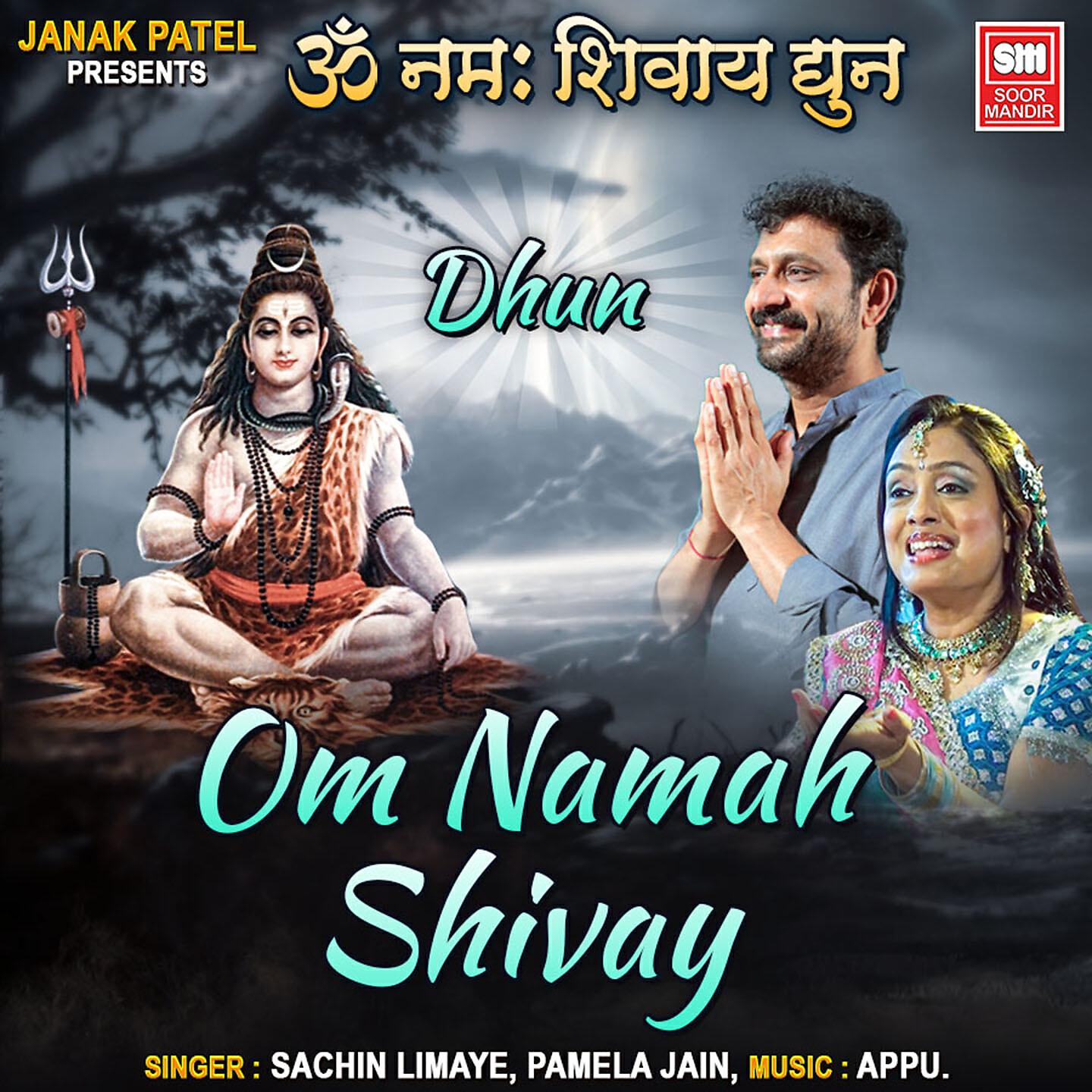 Sachin Limaye - Om Namah Shivay Dhun