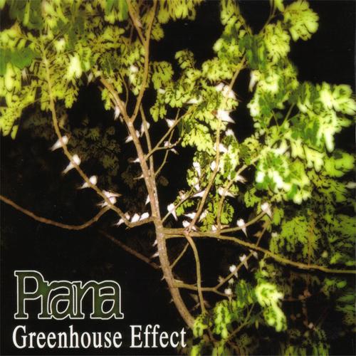 Постер альбома Greenhouse Effect