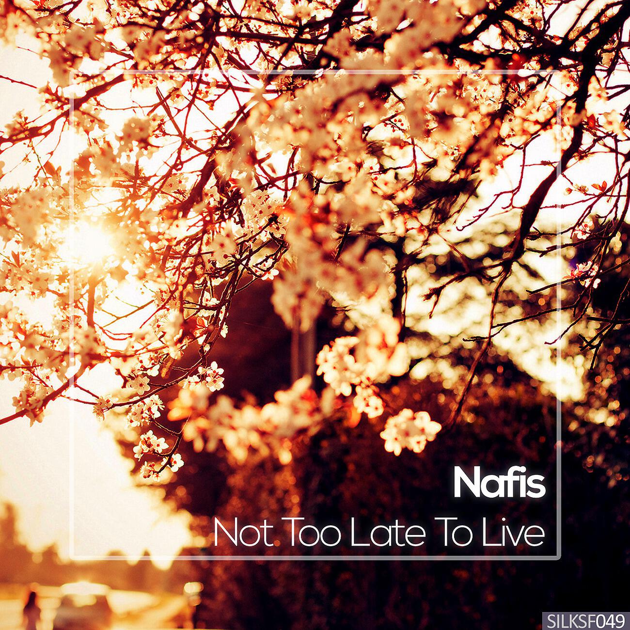 NAFIS - Sky Is Crying For Us