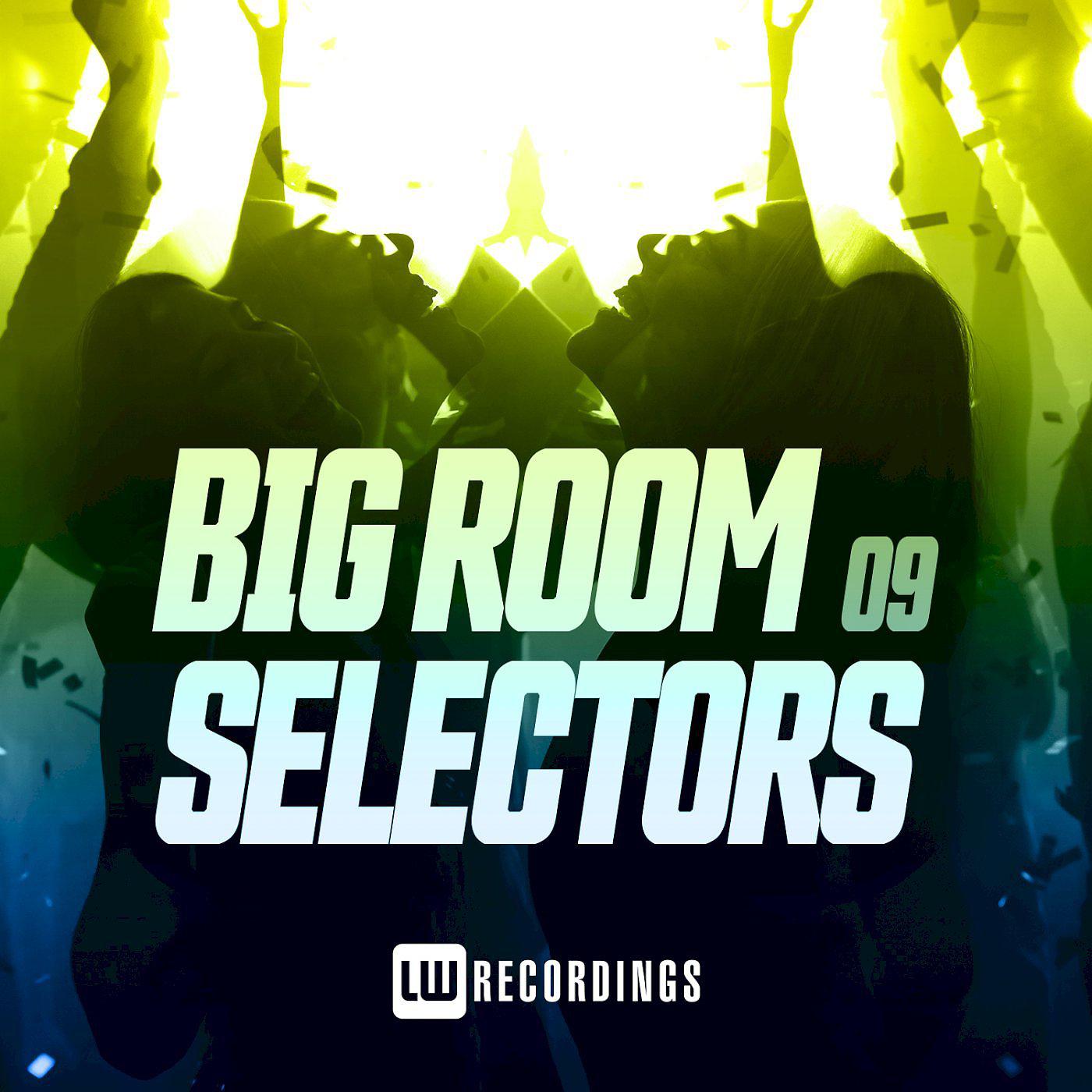 Постер альбома Big Room Selectors, 09
