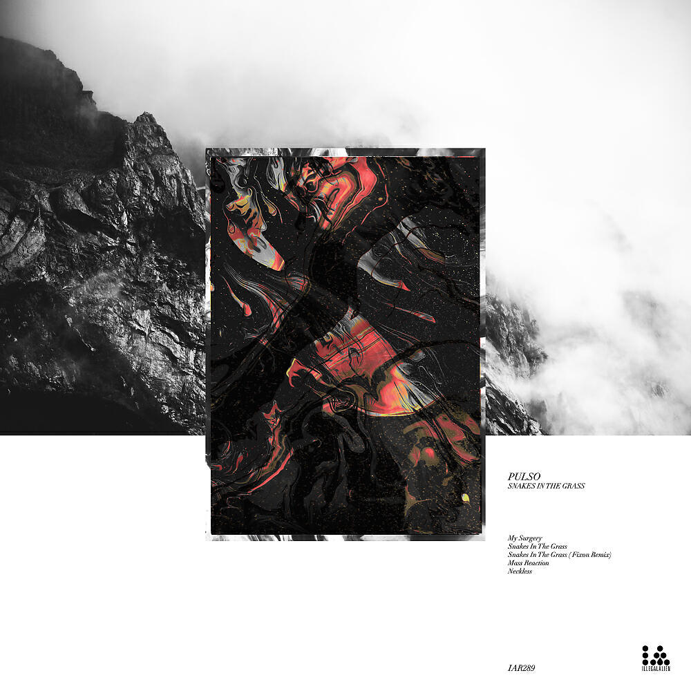 Pulso - Snakes In The Grass