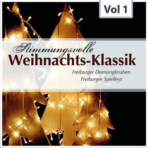 Постер альбома Stimmungsvolle Weihnachts-Klassik, Vol. 1