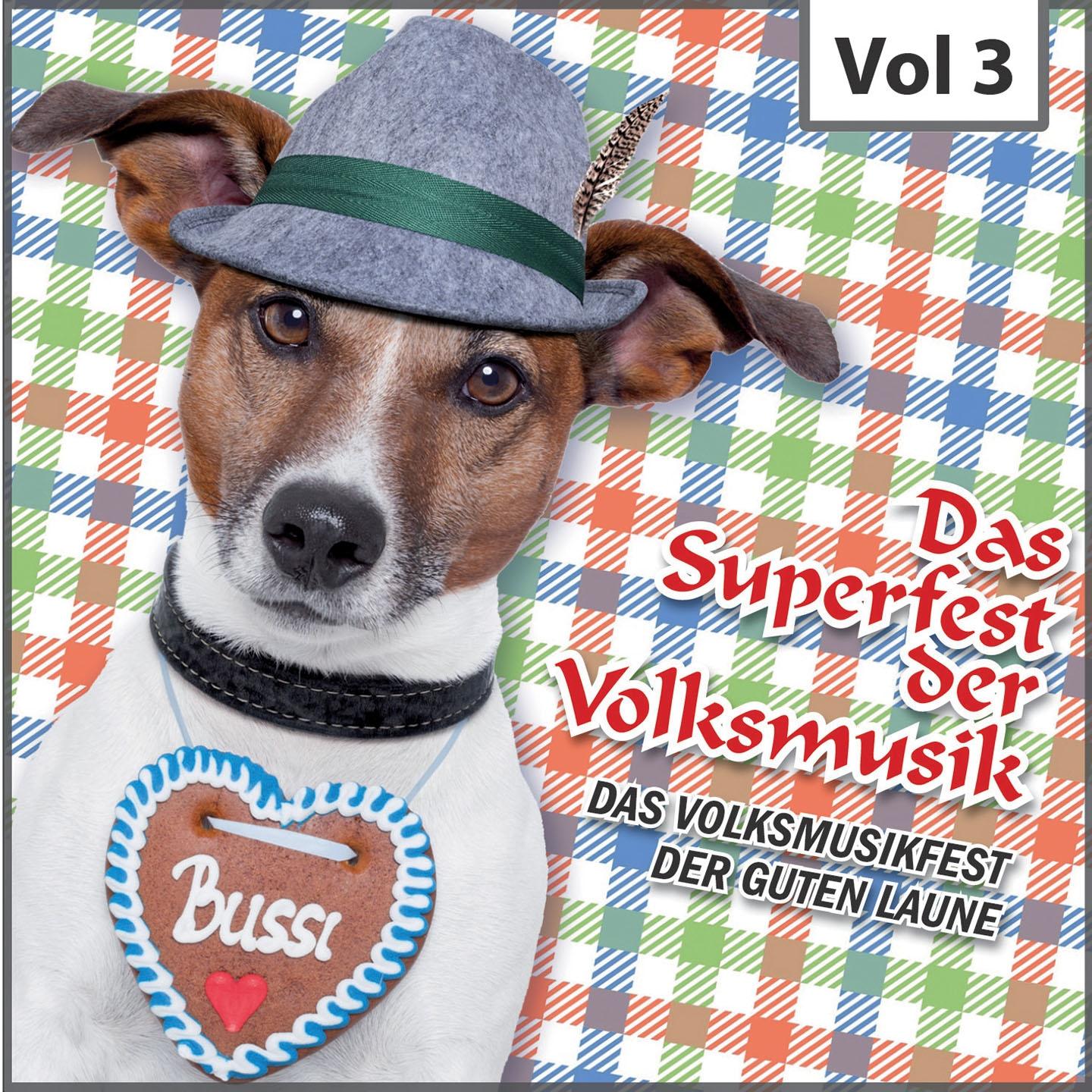 Постер альбома Das Superfest der Volksmusik, Vol. 3