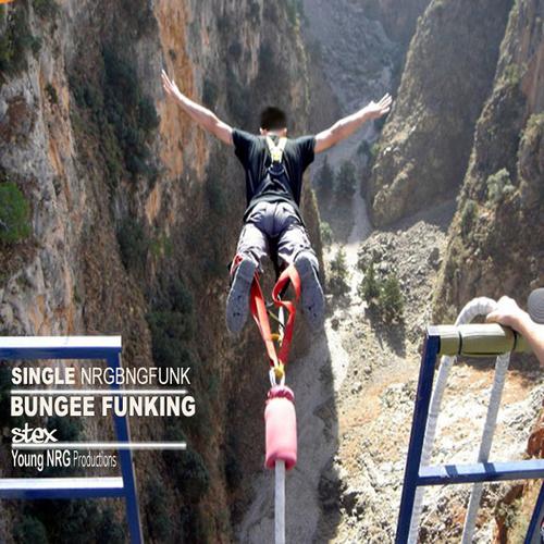 Постер альбома Bungee Funking