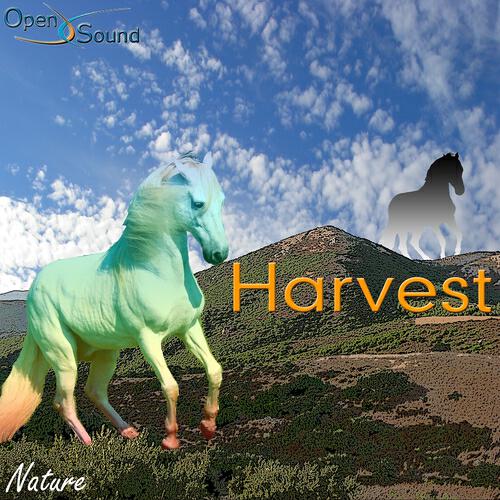 Antonio Arena - Hayloft (Full Version)