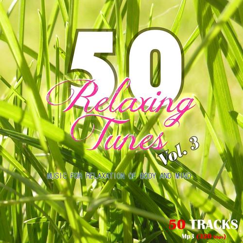 Постер альбома 50 Relaxing Tunes, Vol. 3