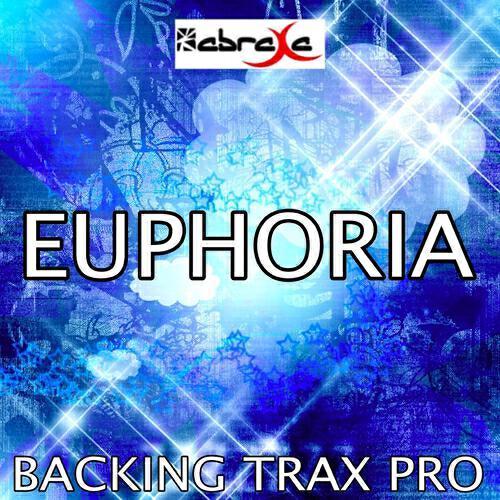 Backing Trax Pro - Euphoria (Karaoke Version) (Originally Performed by Usher)