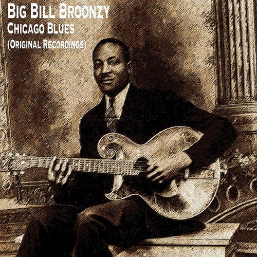 Big Bill Broonzy - Black Widow Spider