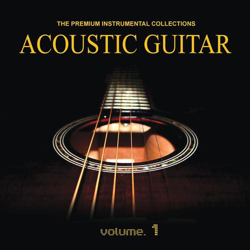 Постер альбома Acoustic Guitar, Vol. 1