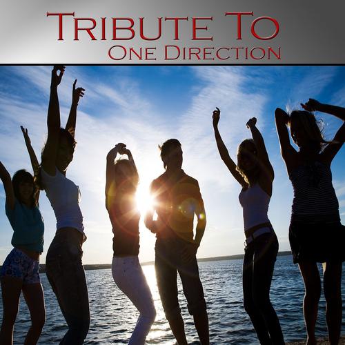 Постер альбома Tribute to One Direction