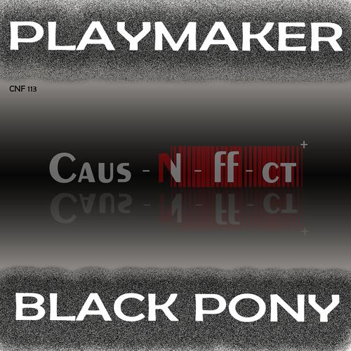 Постер альбома Black Pony