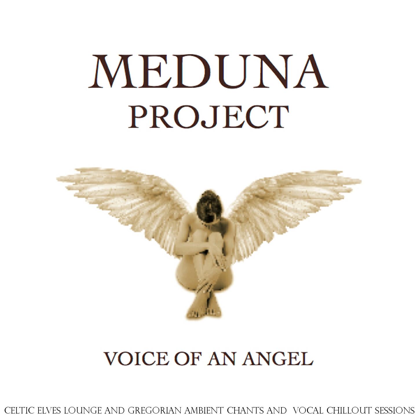 Meduna Project - Silence of the Universe (Schiller vs. Brother Grimm Mix)
