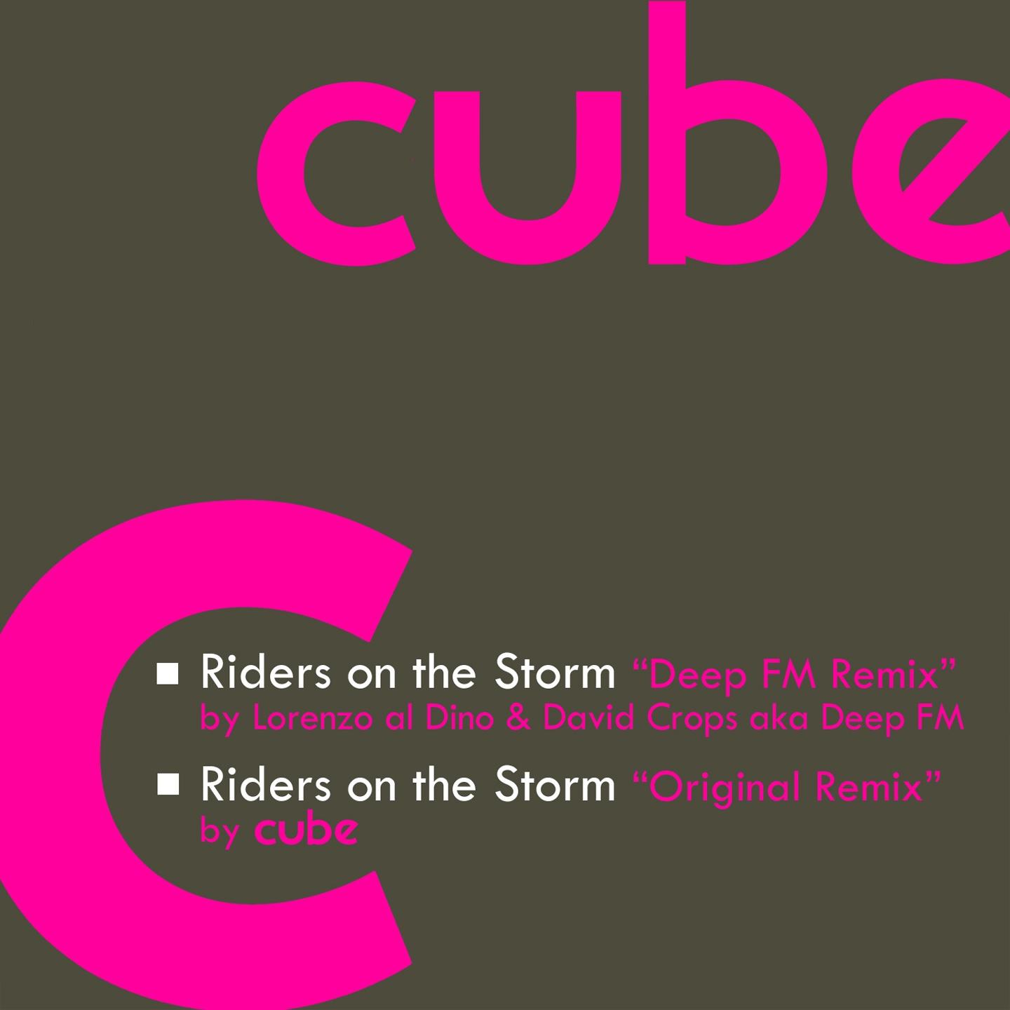 Постер альбома Riders On the Storm