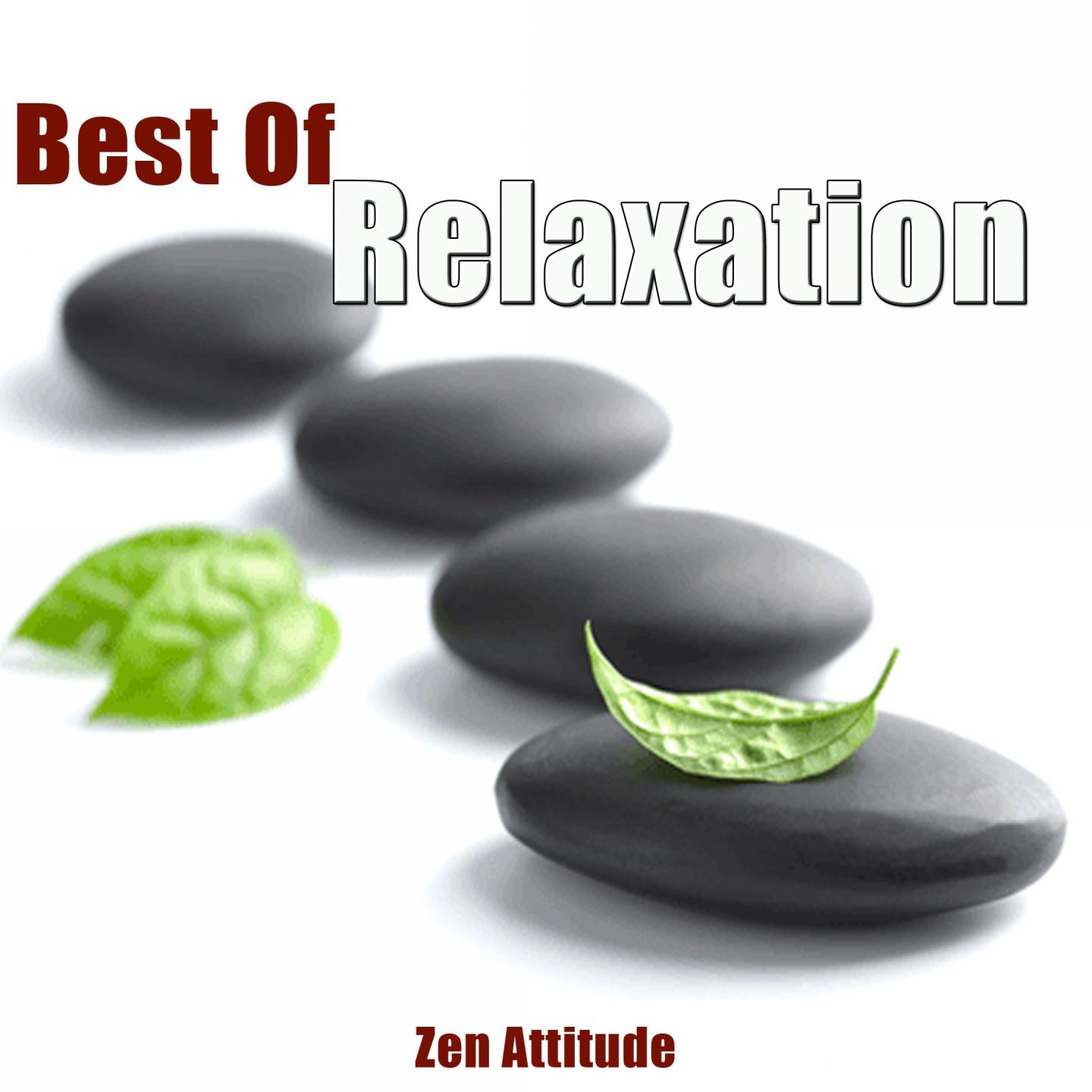 Постер альбома Best of Relaxation