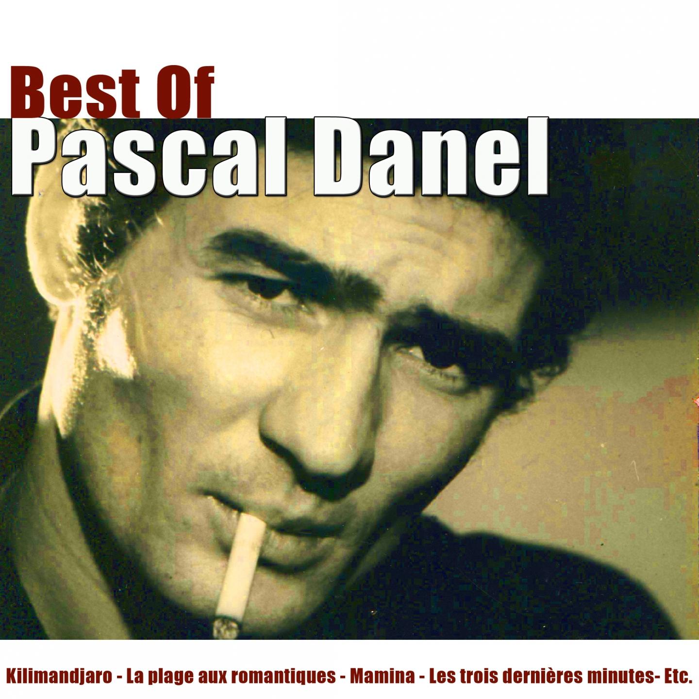 Постер альбома Best of Pascal Danel