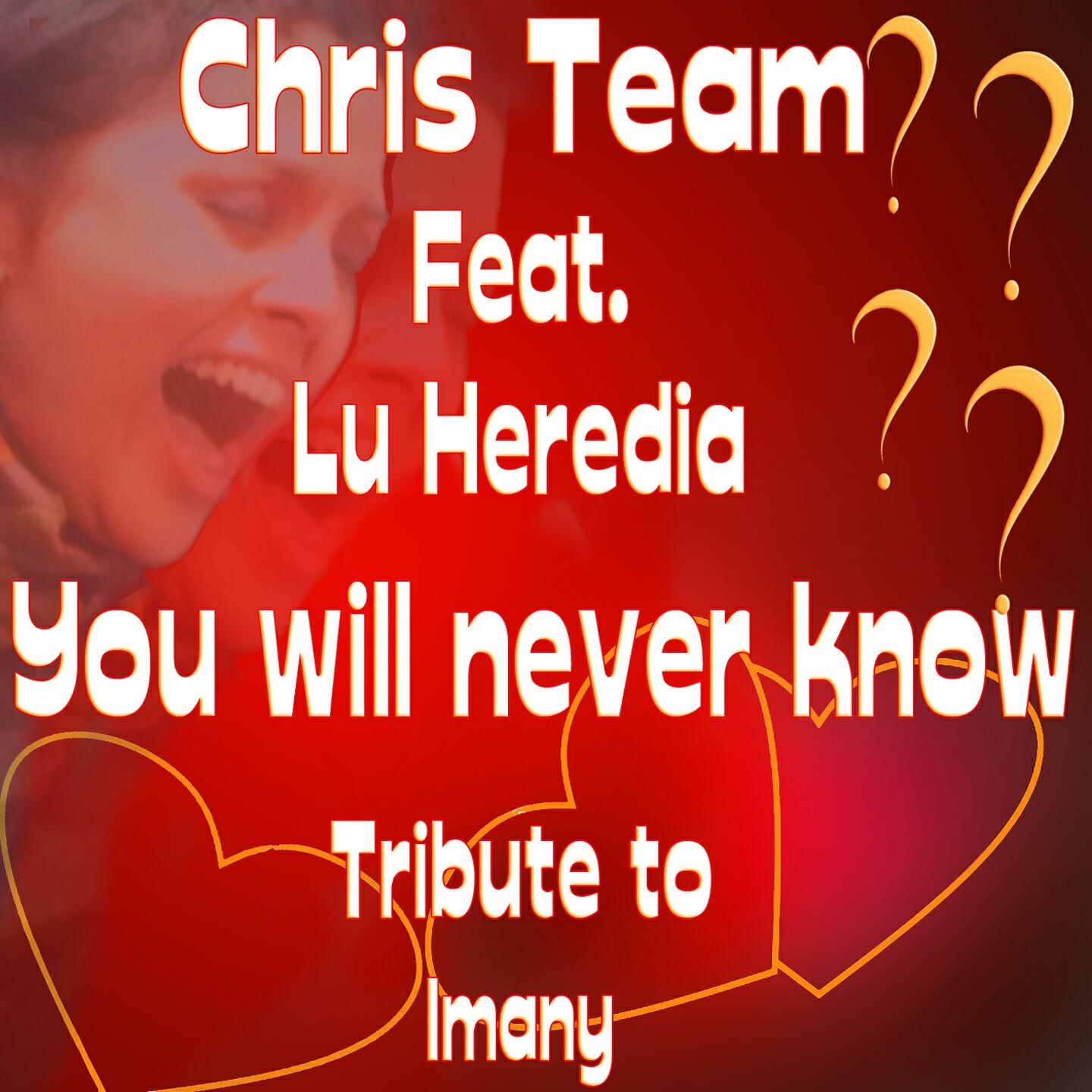 Chris Team - You Will Never Know (Karaoke Version) (Originally Performed By Imany)