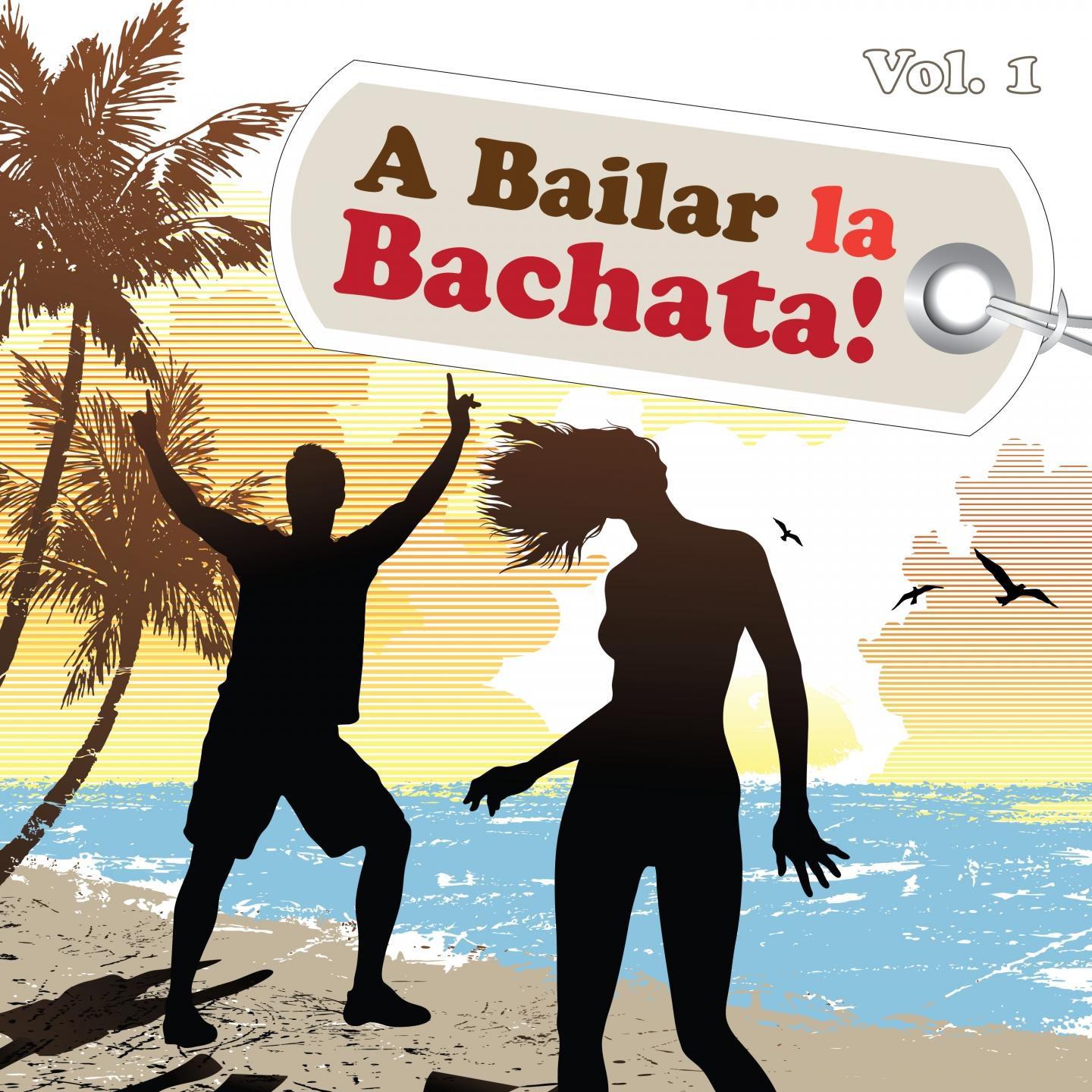 Постер альбома A Bailar la Bachata, Vol. 1