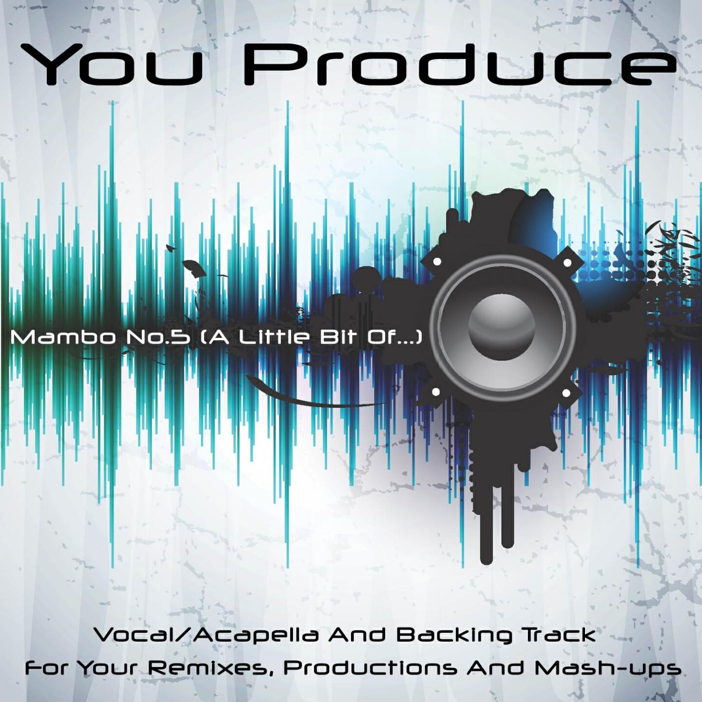 You Produce - Mambo No.5 (A Little Bit of...) (Backing Track - in the Style of Lou Bega)