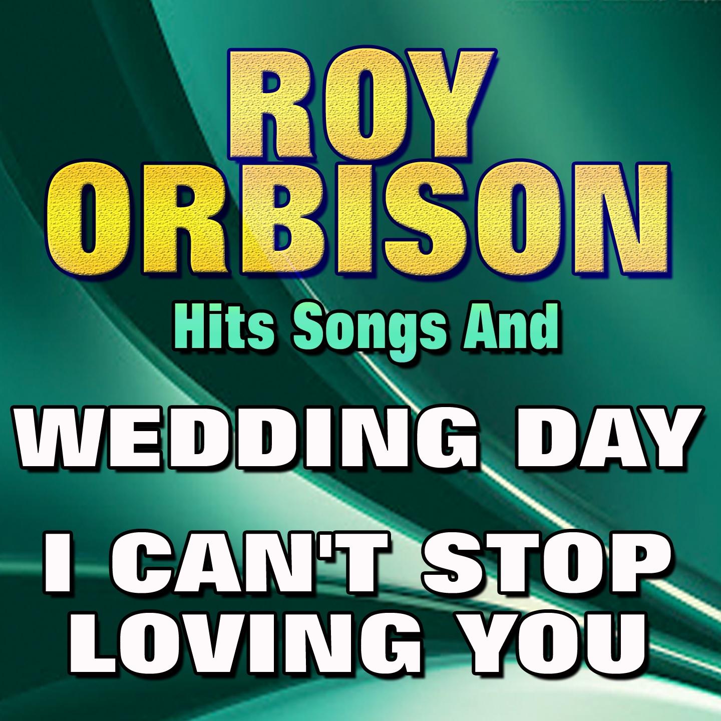 Постер альбома Hits Songs Wedding Day I Can't Stop Loving You Love Hurts (Original Artist Original Songs)