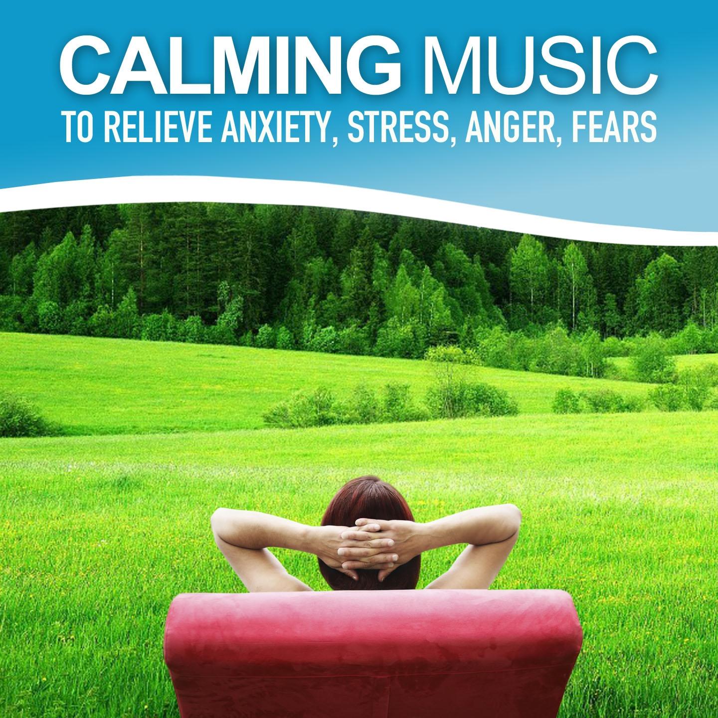 Постер альбома Calming Music to Relieve Anxiety, Stress, Anger, Fears