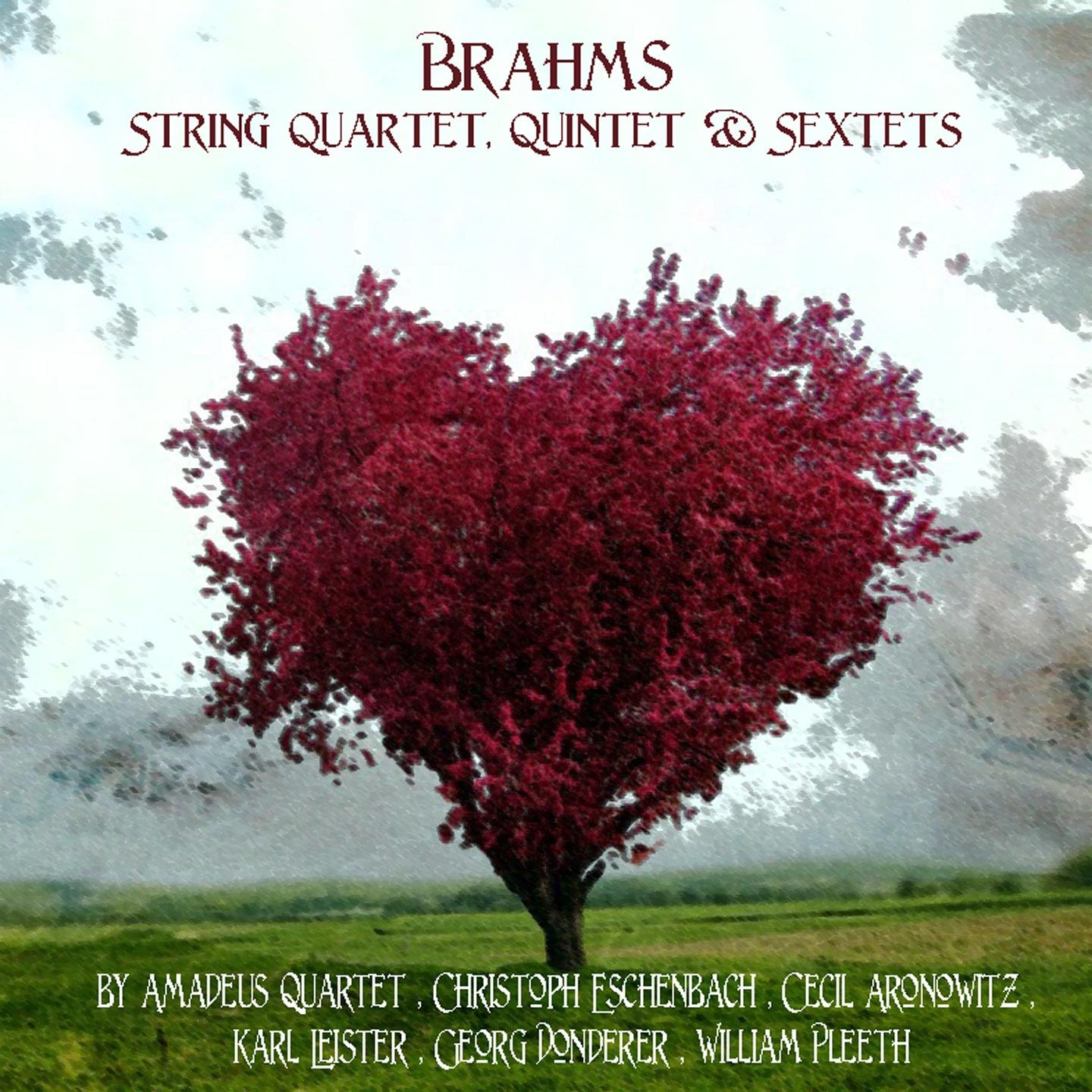 Постер альбома Brahms: String Quartet, Quintet & Sextet