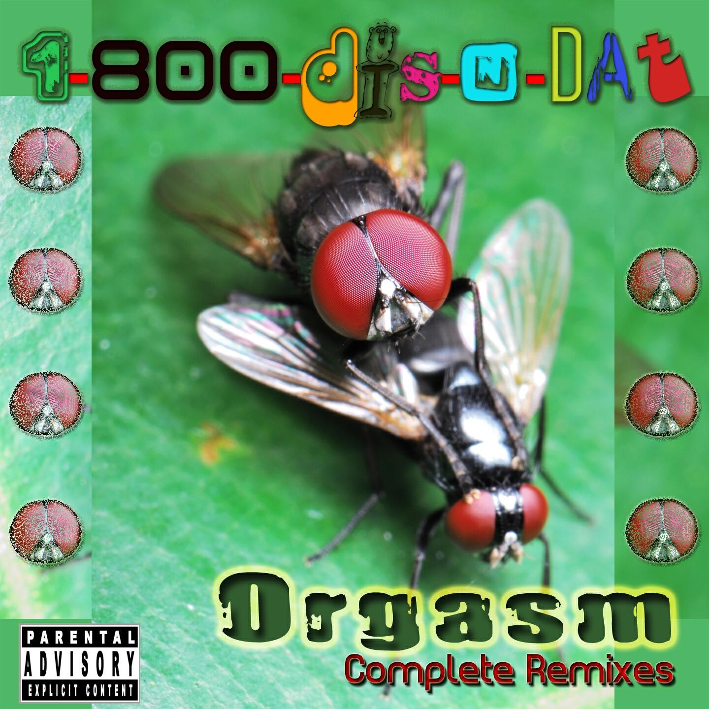 1 800 Dis N Dat - Orgasm (Dirty Bitch Mix)