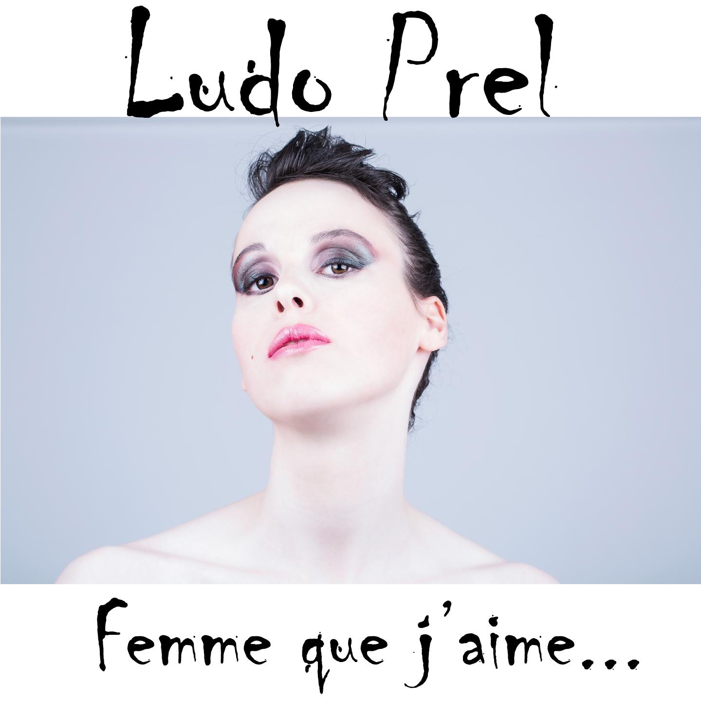Постер альбома Femme que j'aime... (Radio edit)