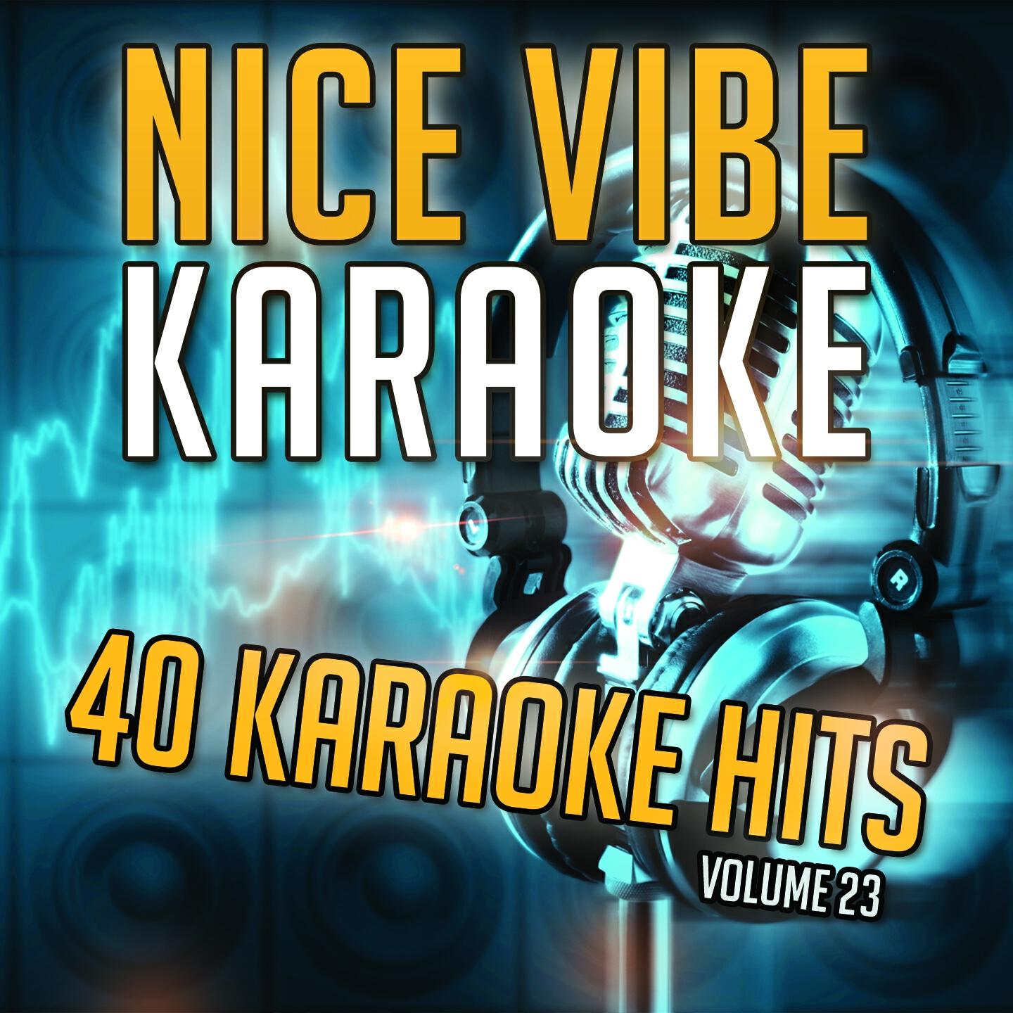 Nice Vibe - Hide (Karaoke Version) (Originally Performed By Creed)