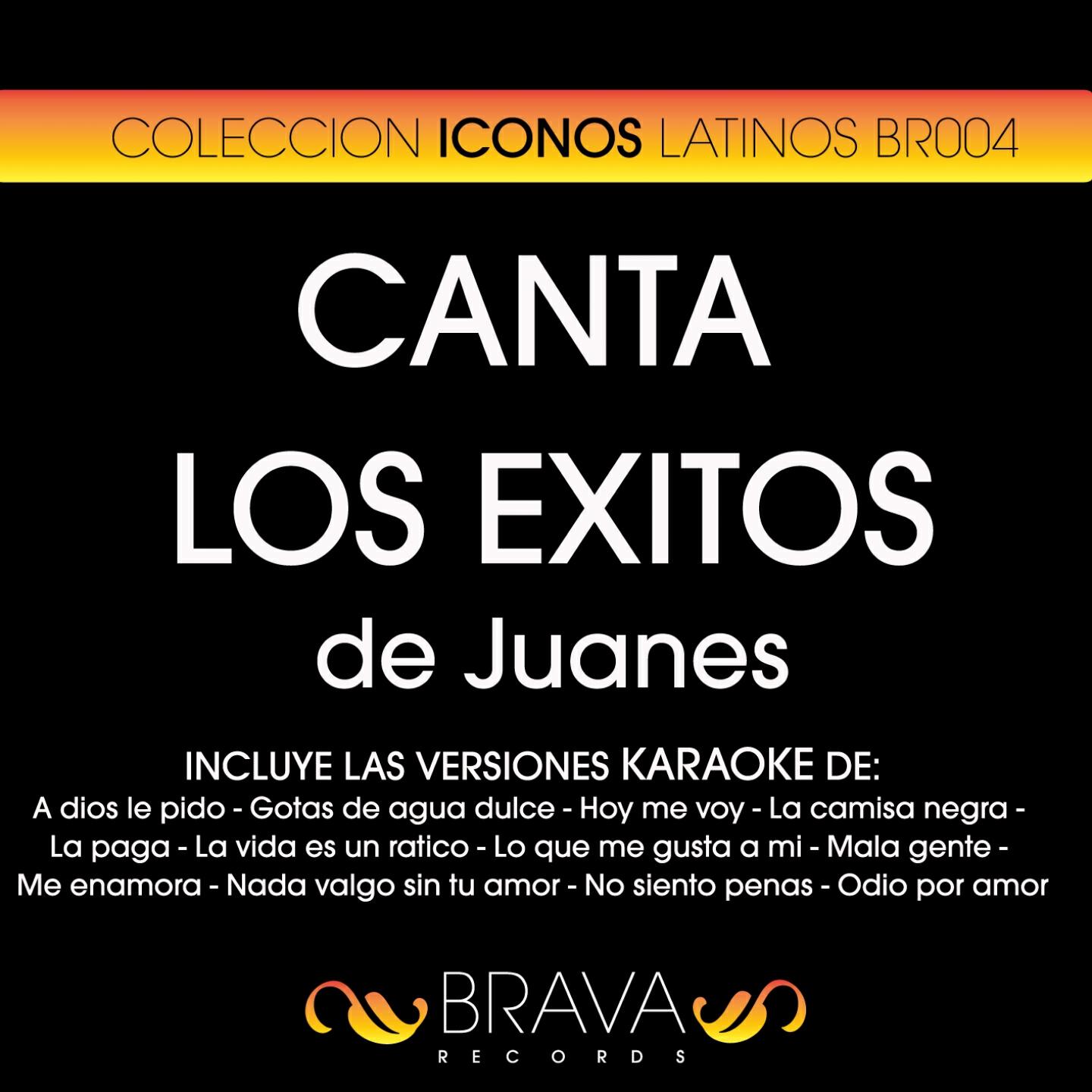 Brava HitMakers - Lo Que Me Gusta a Mi (Karaoke Version) (Originally Performed By Juanes)