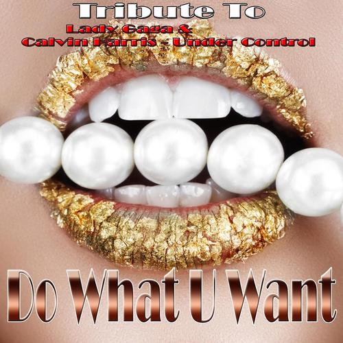 Постер альбома Do What U Want / Under Control: Tribute to Lady Gaga, Calvin Harris